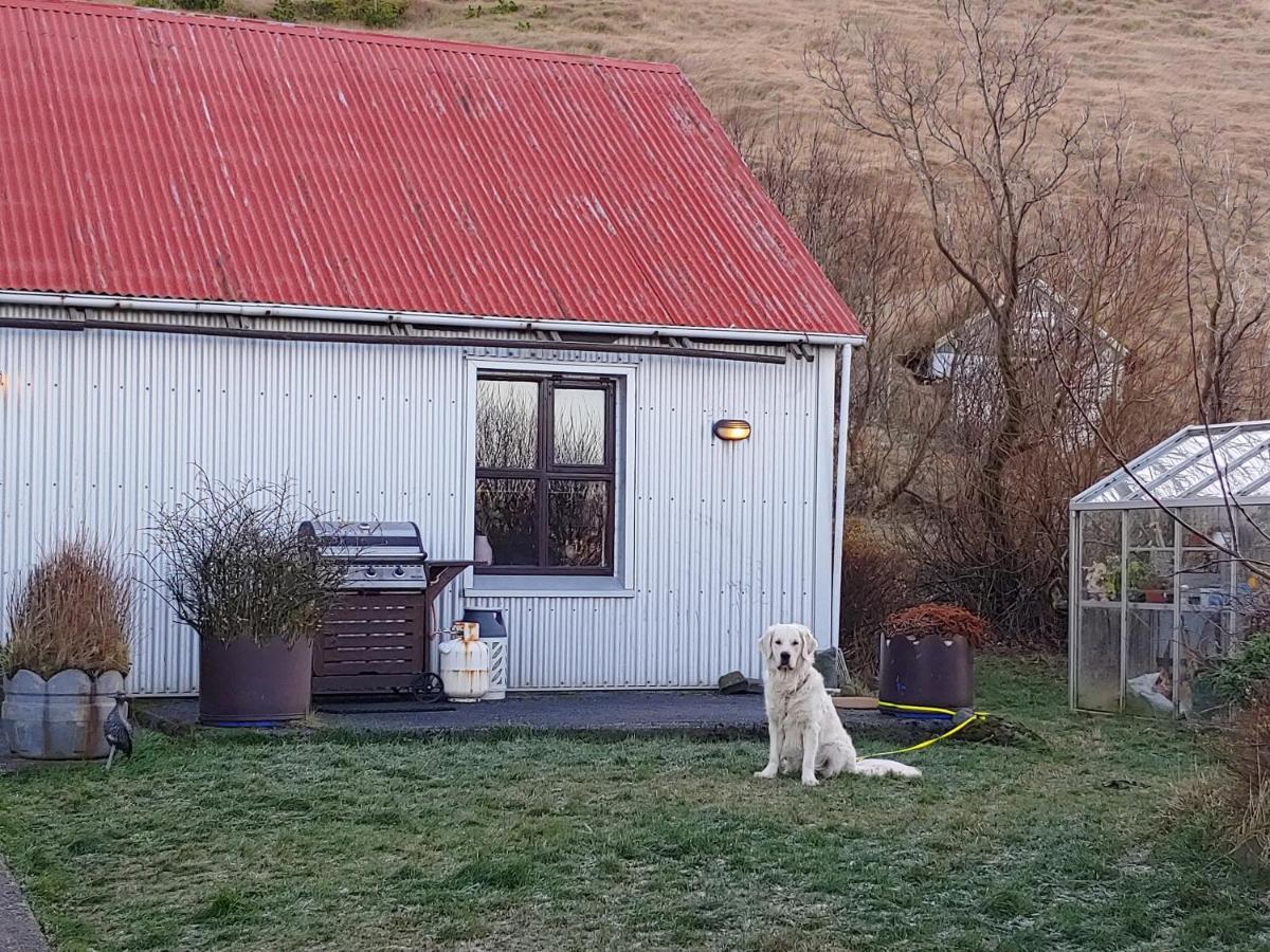 Prestshus 2 Guesthouse Vík Εξωτερικό φωτογραφία